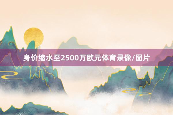 身价缩水至2500万欧元体育录像/图片