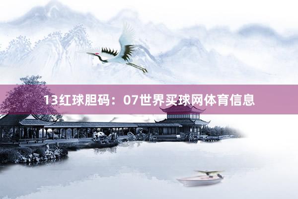 13　　红球胆码：07世界买球网体育信息