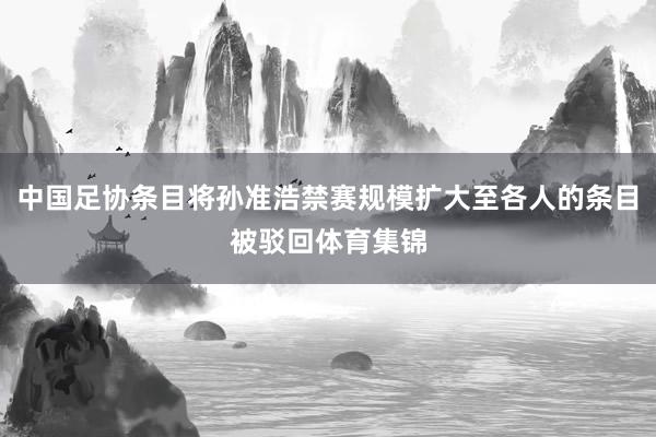 中国足协条目将孙准浩禁赛规模扩大至各人的条目被驳回体育集锦