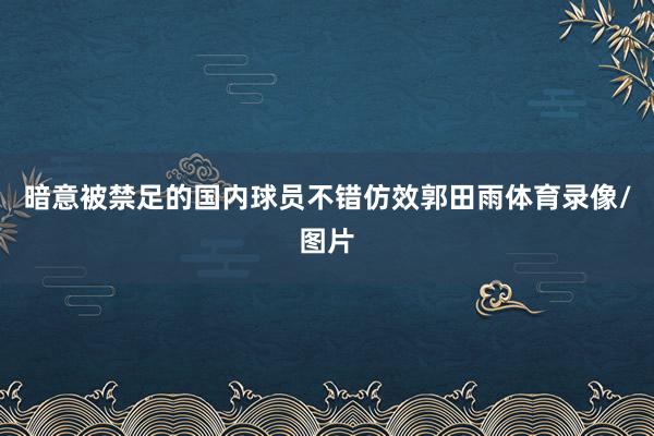 暗意被禁足的国内球员不错仿效郭田雨体育录像/图片