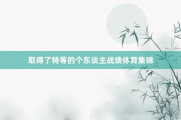 取得了特等的个东谈主战绩体育集锦