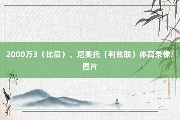 2000万3（比肩）、尼奥托（利兹联）体育录像/图片