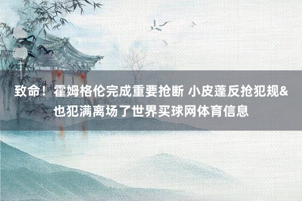 致命！霍姆格伦完成重要抢断 小皮蓬反抢犯规&也犯满离场了世界买球网体育信息
