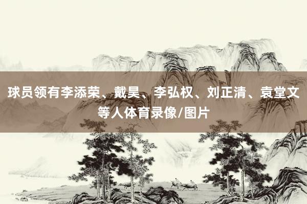 球员领有李添荣、戴昊、李弘权、刘正清、袁堂文等人体育录像/图片