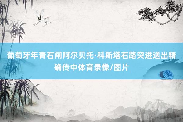 葡萄牙年青右闸阿尔贝托·科斯塔右路突进送出精确传中体育录像/图片