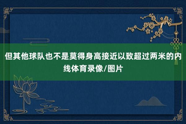 但其他球队也不是莫得身高接近以致超过两米的内线体育录像/图片