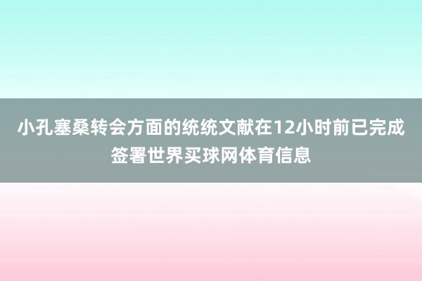 小孔塞桑转会方面的统统文献在12小时前已完成签署世界买球网体育信息