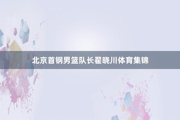 北京首钢男篮队长翟晓川体育集锦