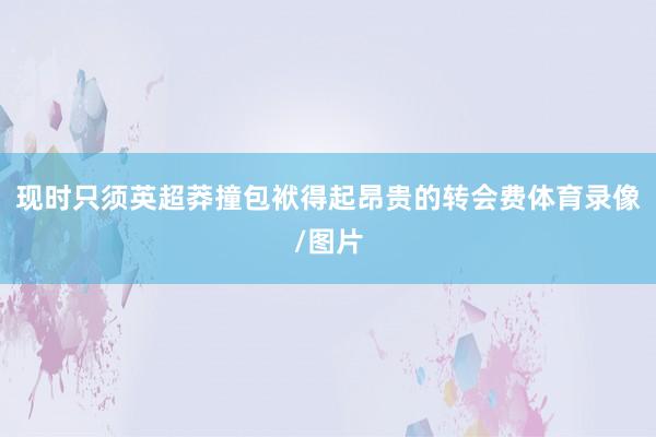 现时只须英超莽撞包袱得起昂贵的转会费体育录像/图片